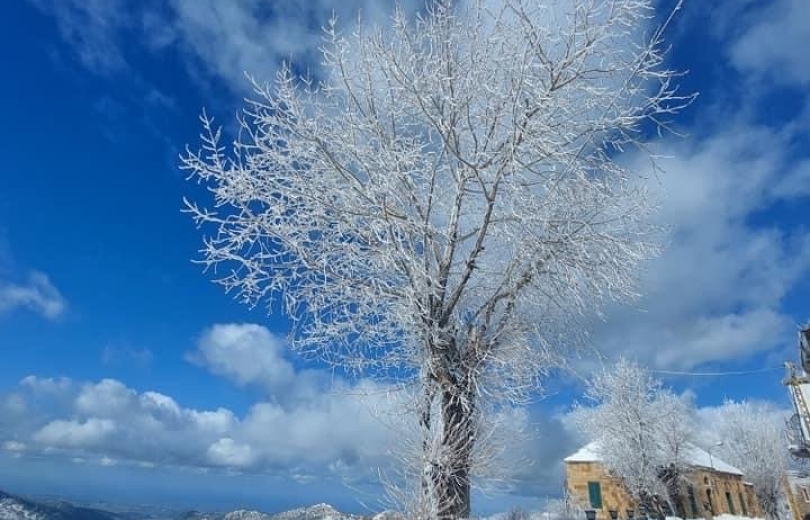 مرتفعات لبنان المكللة بالثلوج تتحول الى  لوحات فنية 
