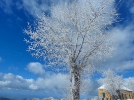 مرتفعات لبنان المكللة بالثلوج تتحول الى  لوحات فنية 